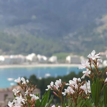 Apartment Puerto Soller Seaview Apartment: Private Terrace & Pool